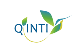 Qinti logo
