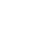 Starry Starry Nights (PTY) Ltd  logo