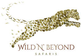 Wild N' Beyond Zambia Ltd logo
