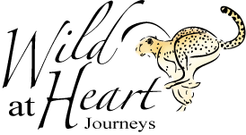 Wild At Heart Journeys logo