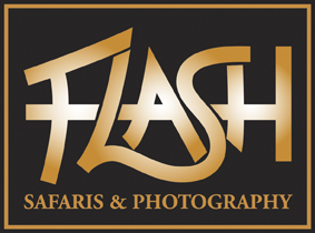 Flash Safaris and Photography Ltd logo