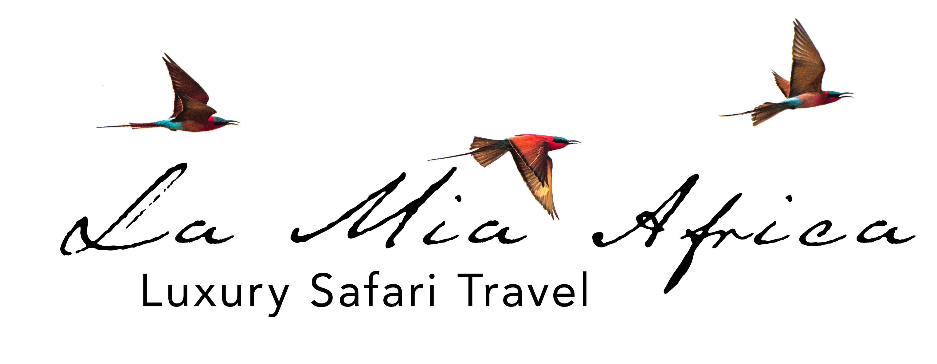 La Mia Africa Overlanding & Safari logo