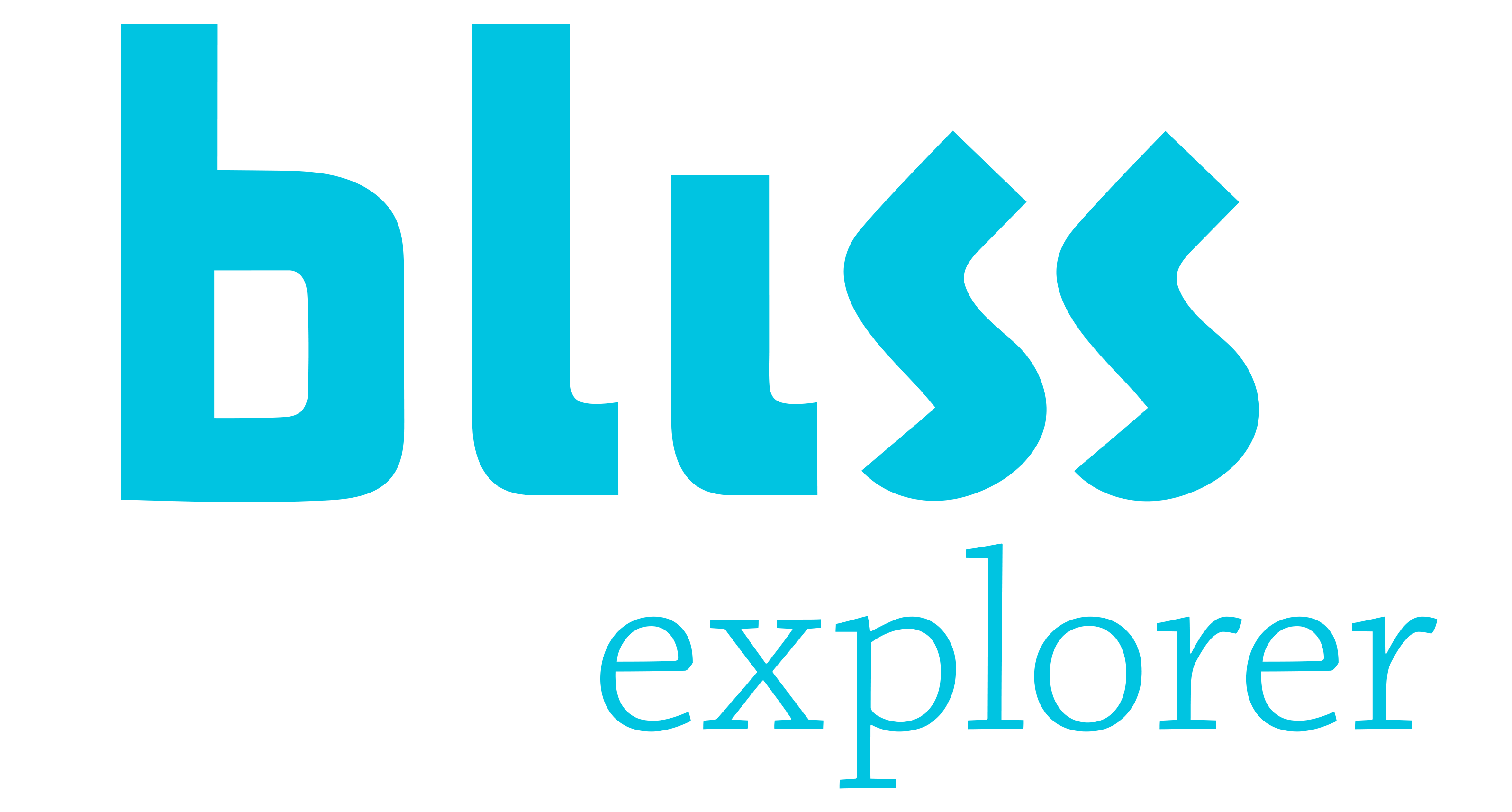 Bliss Explorer logo