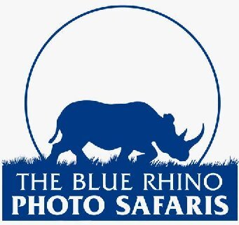 The Blue Rhino  logo