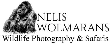 Nelis Wolmarans Packages logo