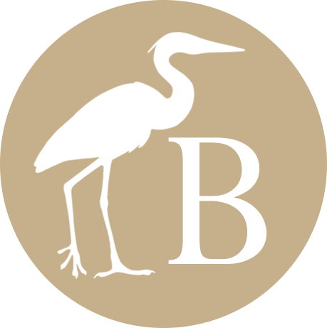 Bushtracks Africa logo