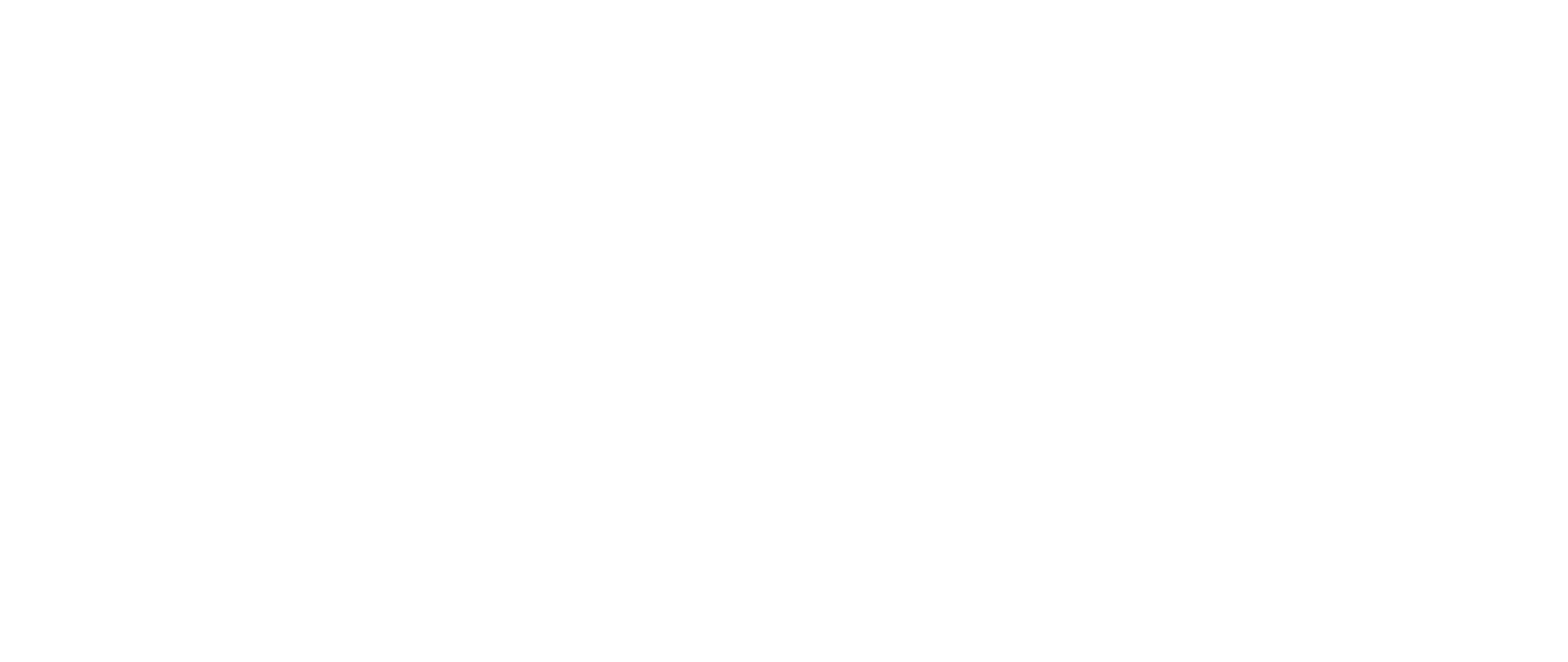 Springbok Atlas Tours & Safaris logo