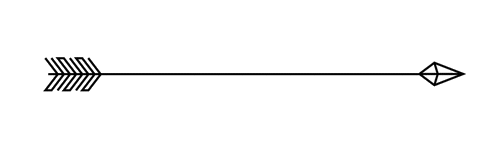 Robertson Tours logo