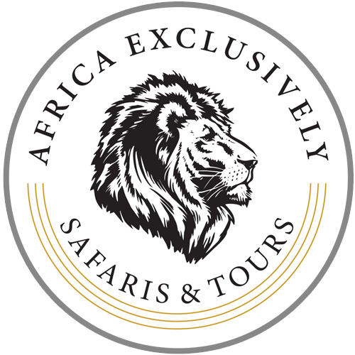 Africa Exclusively  logo