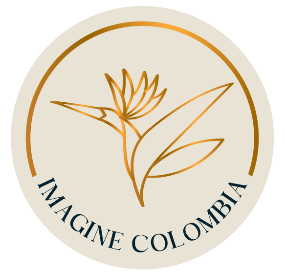 IMAGINE COLOMBIA DMC SAS logo