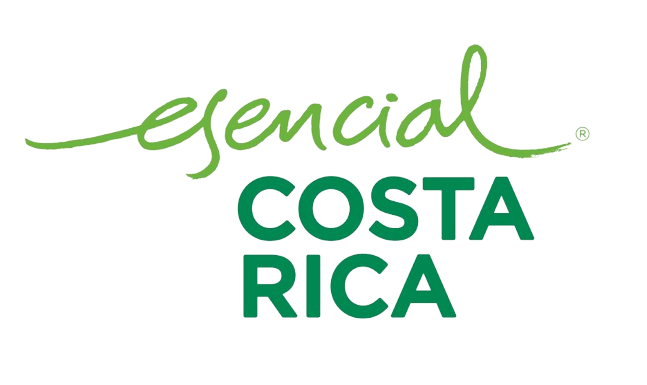 Immersed in Change HOR logo