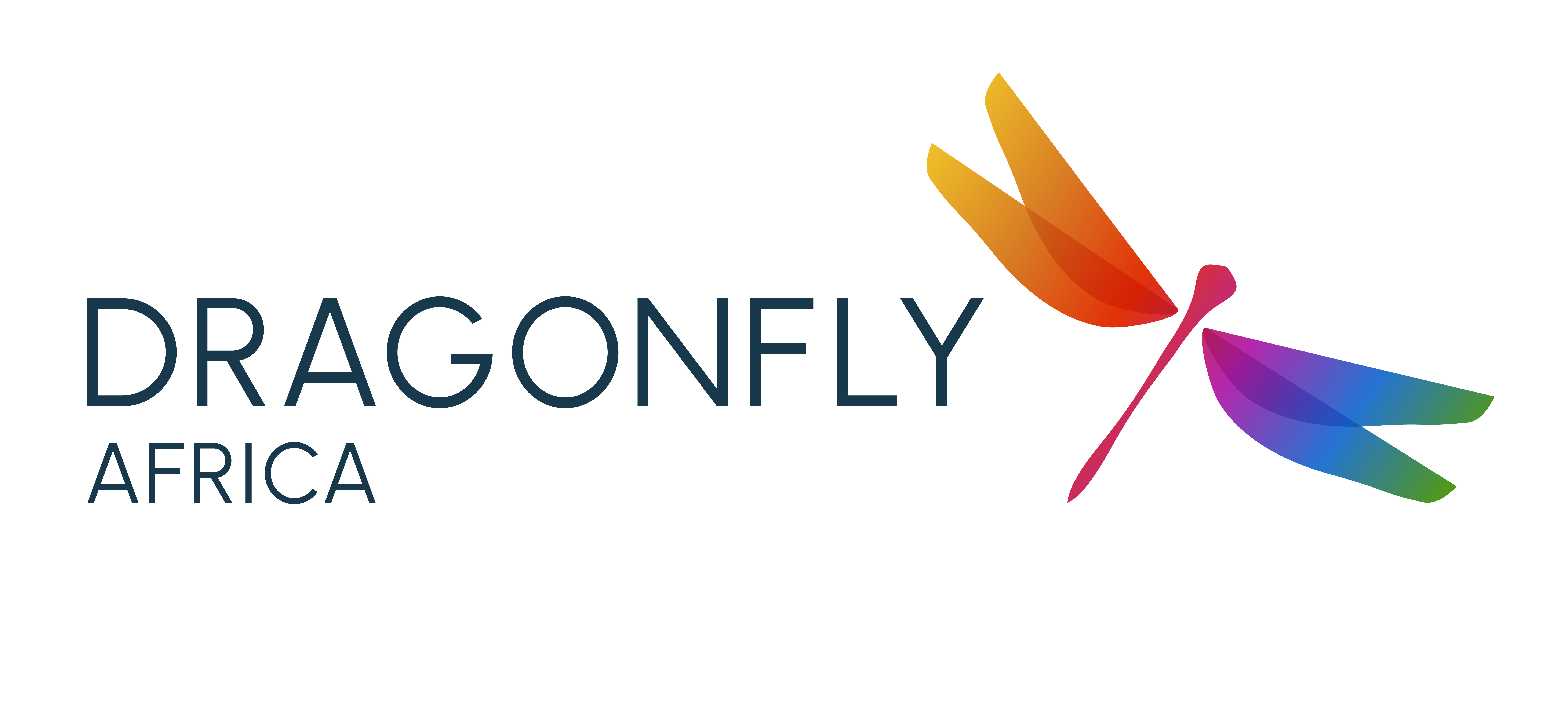 Dragonfly Africa - Riëtte Nieuwoudt logo
