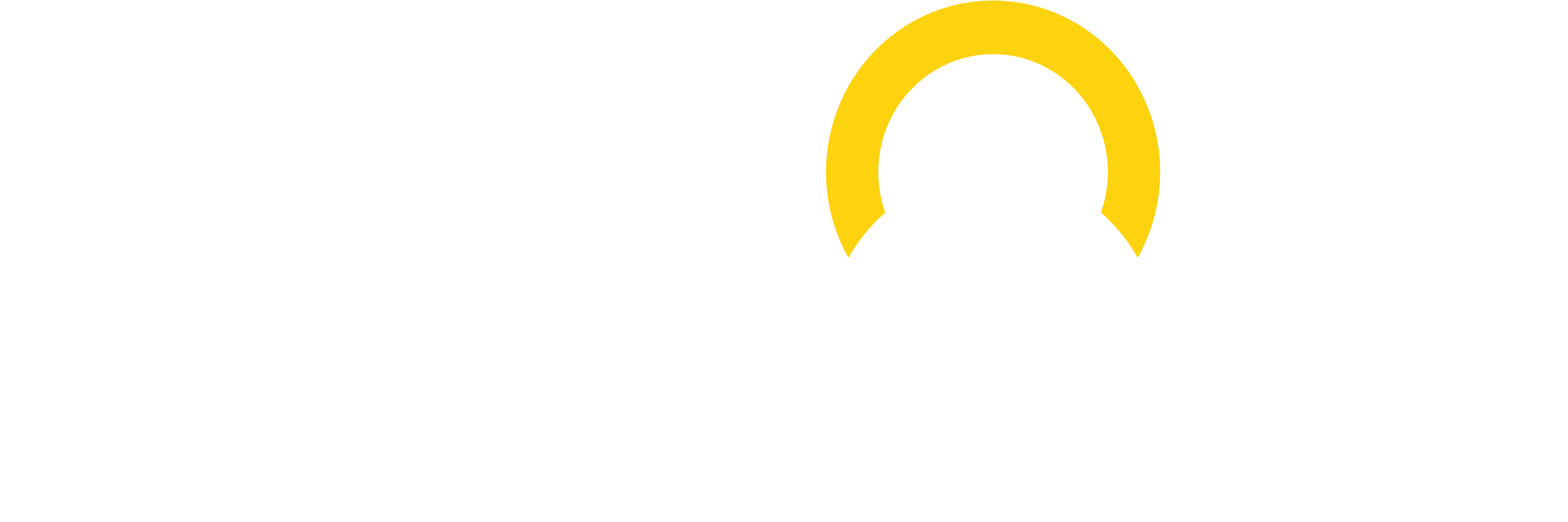WildEarth Travel logo
