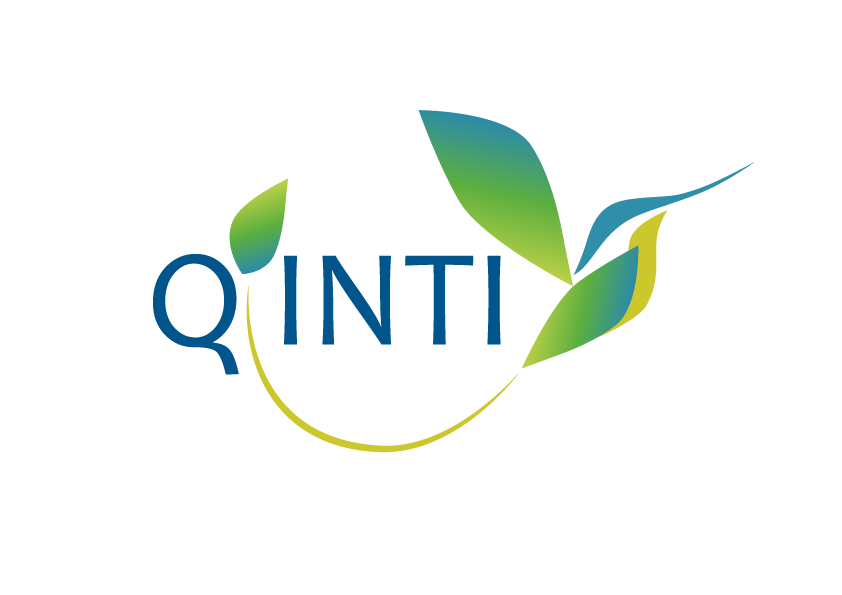 Qinti logo
