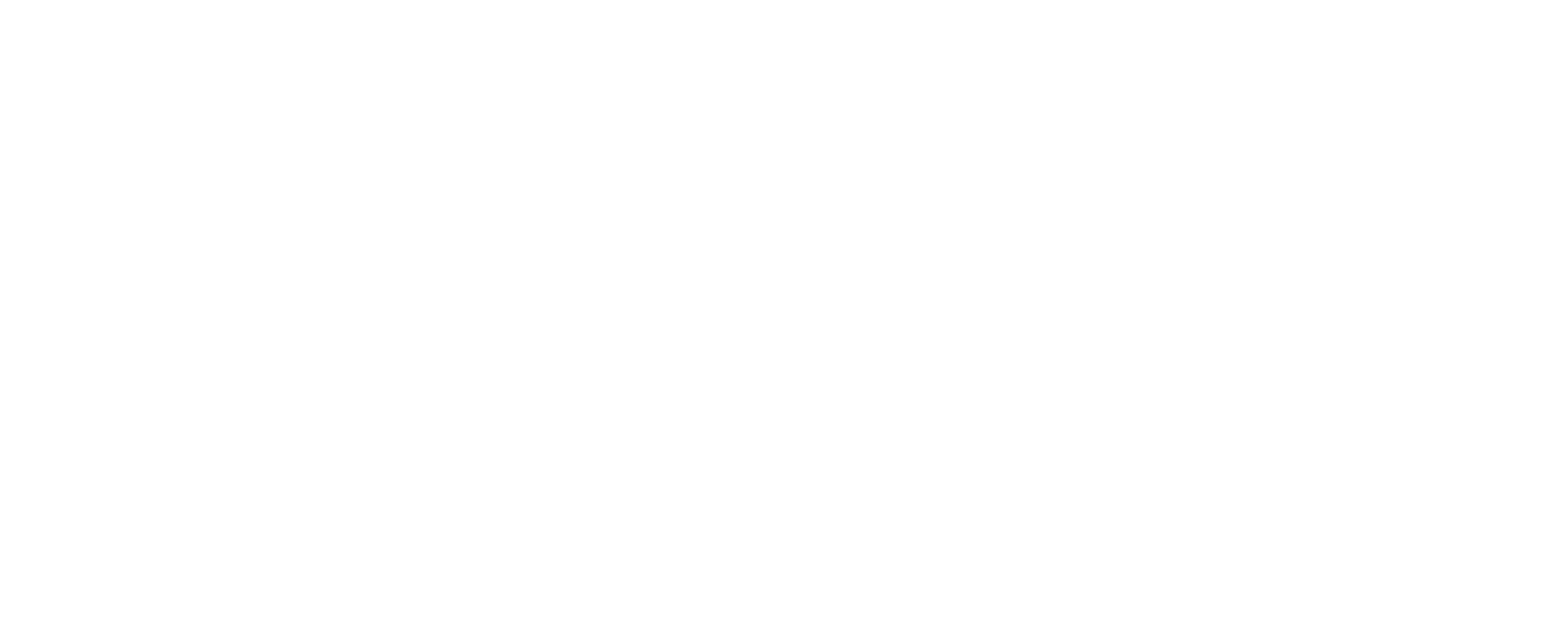 Scenery Travel logo