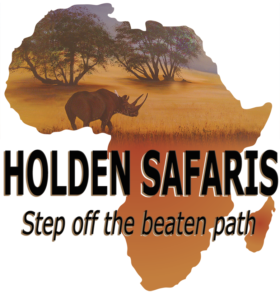 Holden Safaris logo