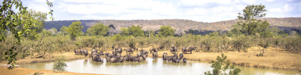 Südlicher Krüger Nationalpark