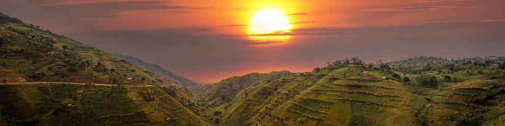 Bwindi Impenetrable Forest National Park