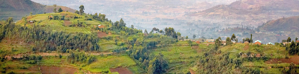 Mgahinga Gorilla National Park