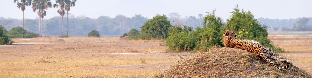 Liwonde National Park