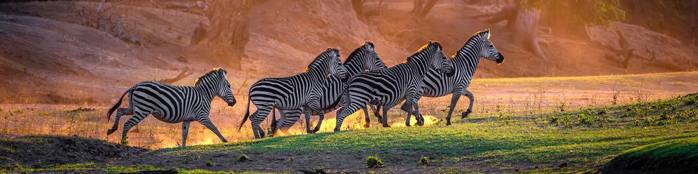 Mana Pools National Park