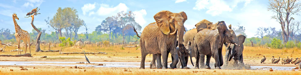 Hwange National Park