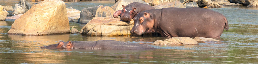 Majete Wildlife Reserve