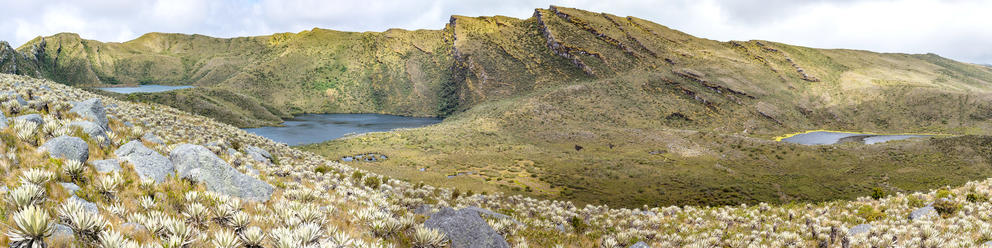 Guasca