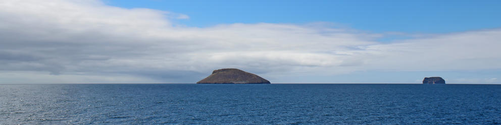 Daphne Island