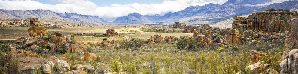 Cederberg 