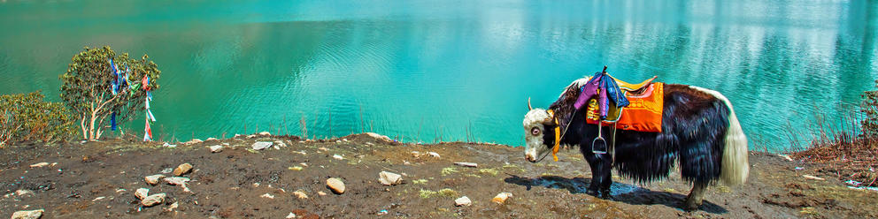 Sikkim