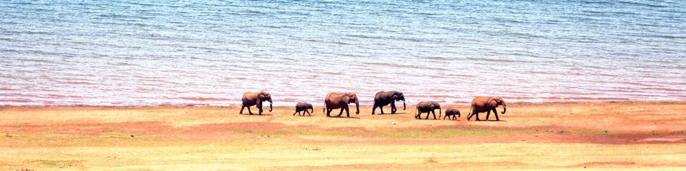 Lake Kariba