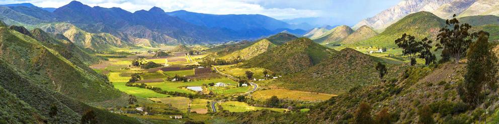 Montagu