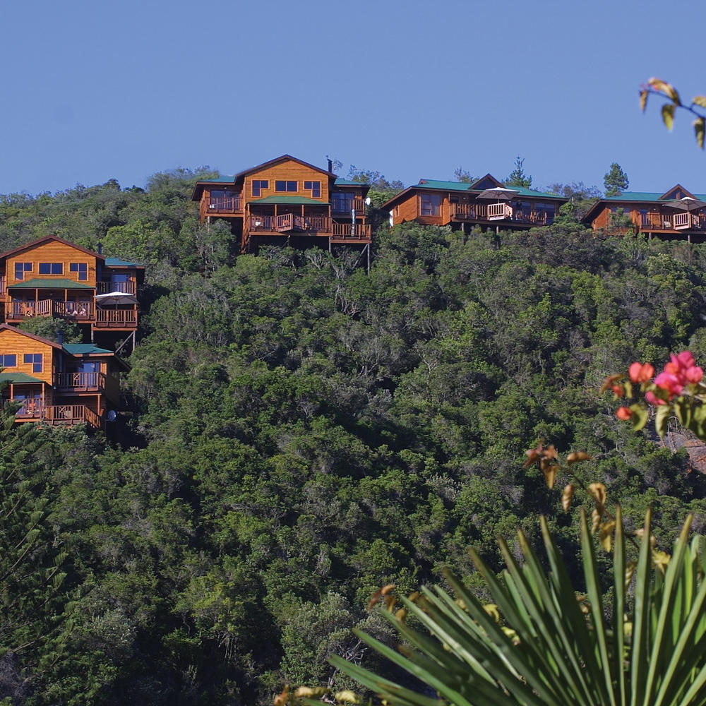 Boardwalk Lodge-item-2