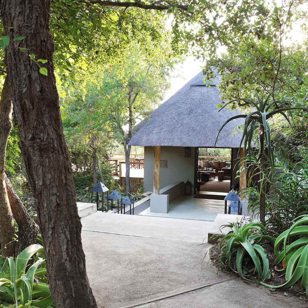 Londolozi Pioneer Camp-item-0