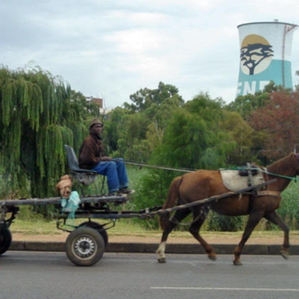 Horse Carriage 
