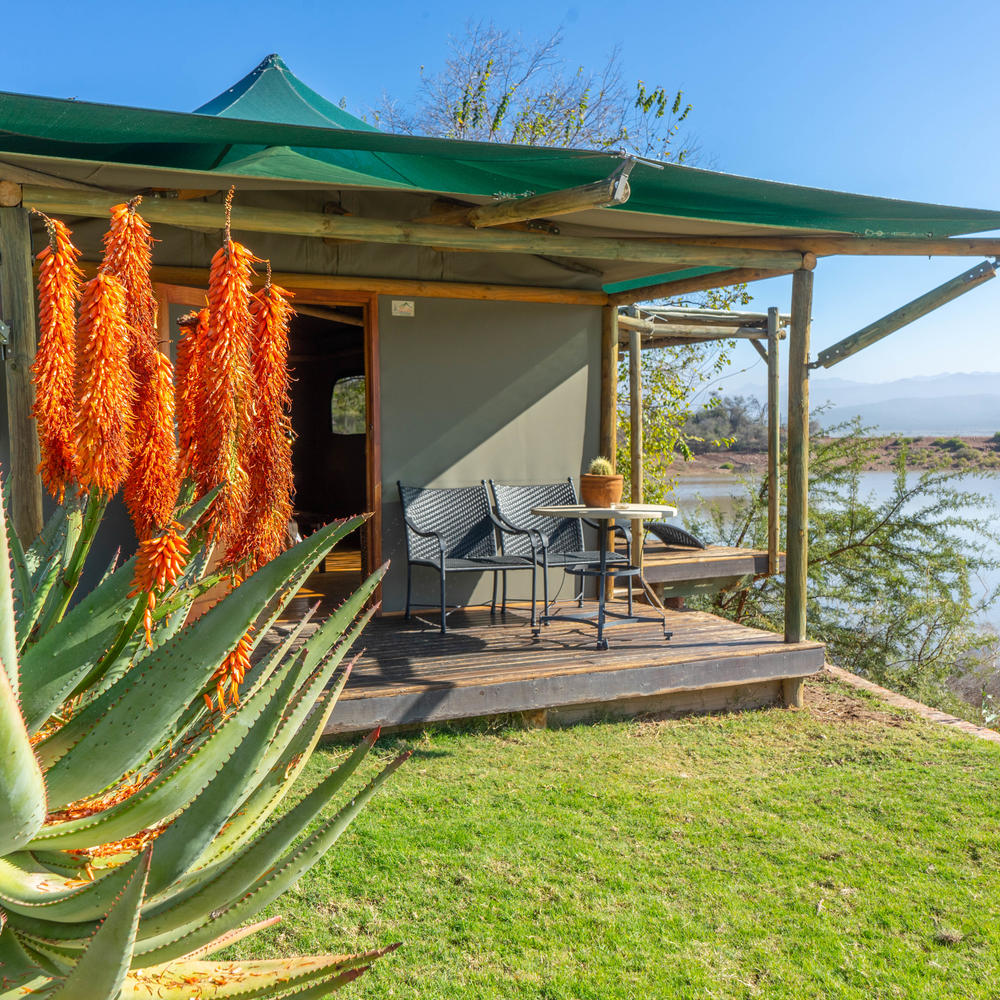 Buffelsdrift Game Lodge-item-2