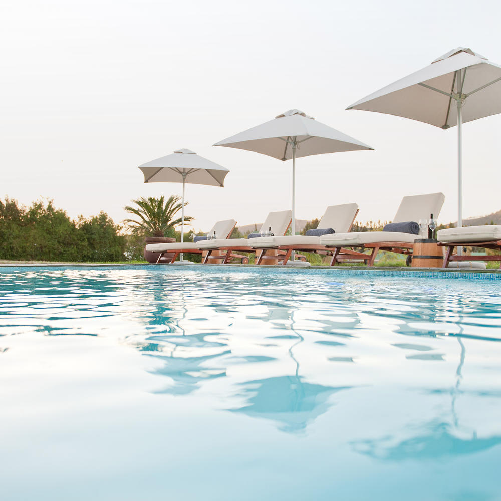 Cultivar Guest Lodge-item-0