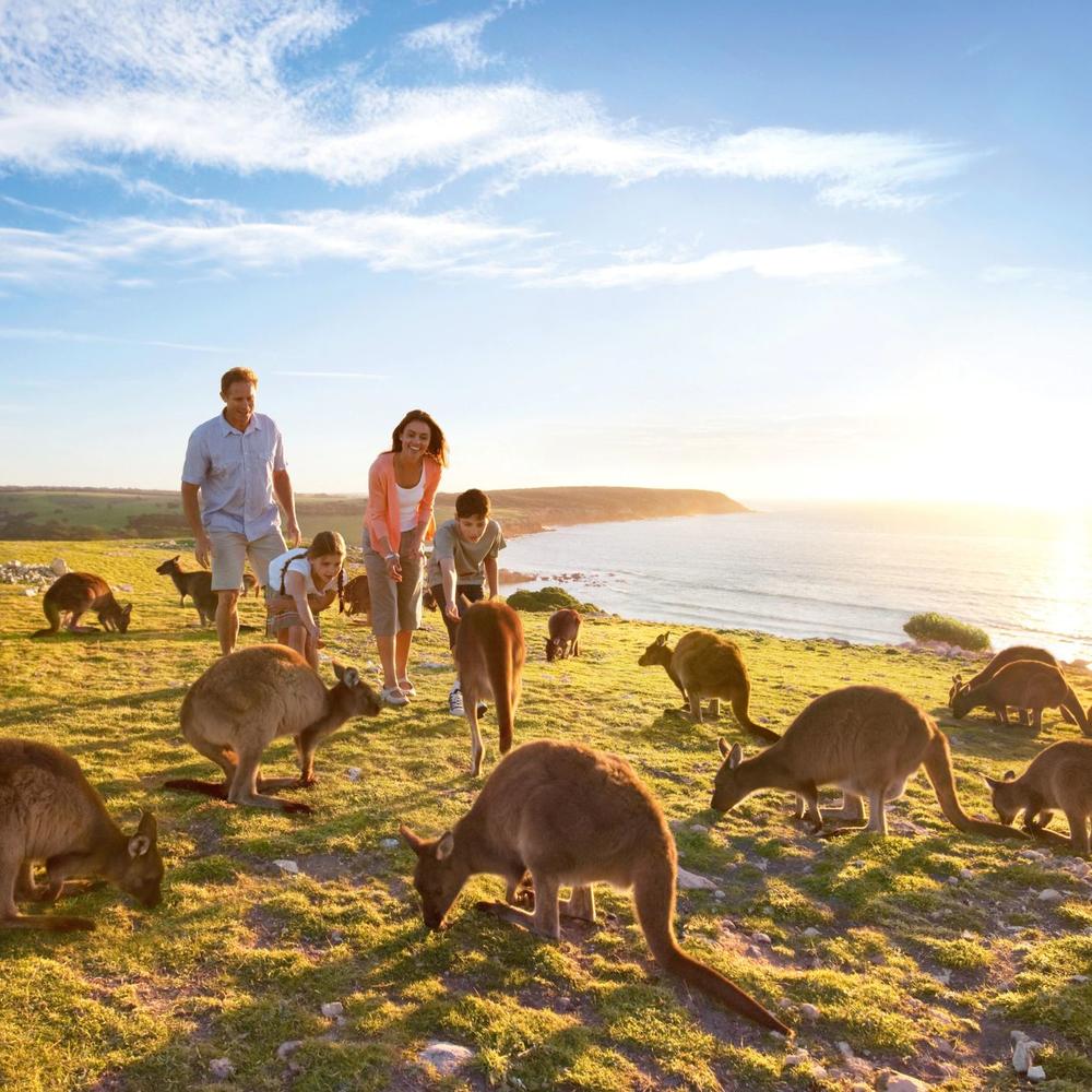 Thabela Travel-item-0