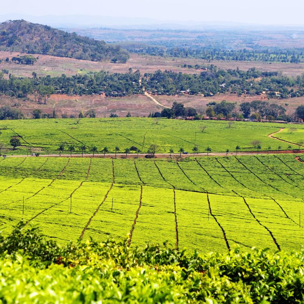 Crafted Africa - Great Rift Valley-item-0