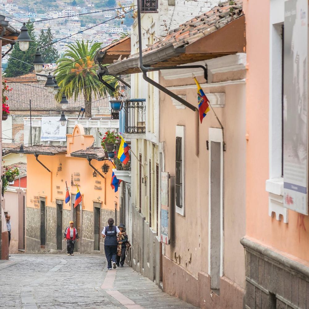 Condor Travel-item-1