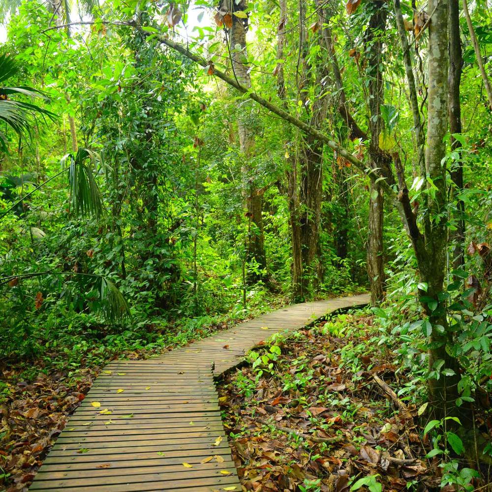 Colombian Journeys-item-2