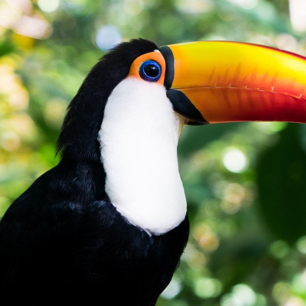 Condor Travel-item-2