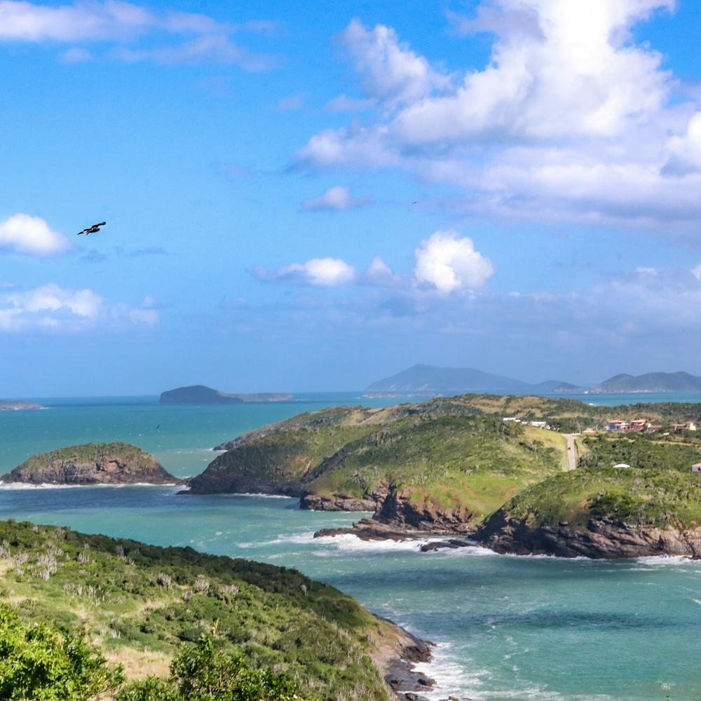 Condor Travel-item-2