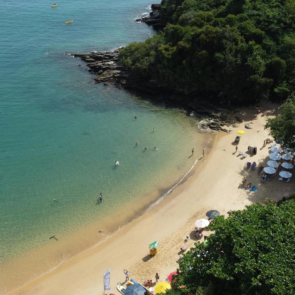 Condor Travel-item-0