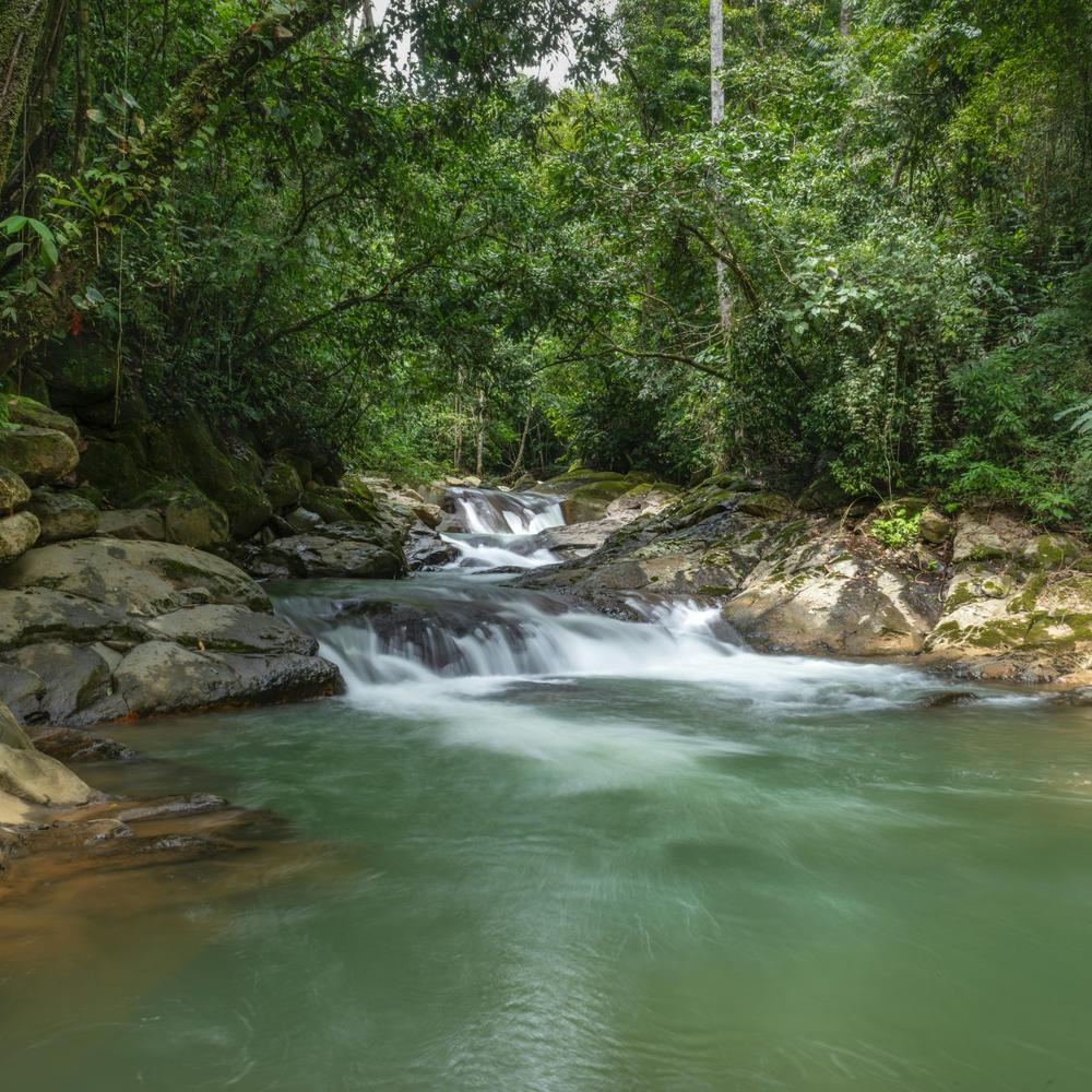 ST Costa Rica-item-0