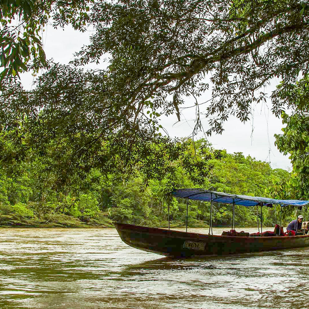 Manatee Amazon Explorer-item-1