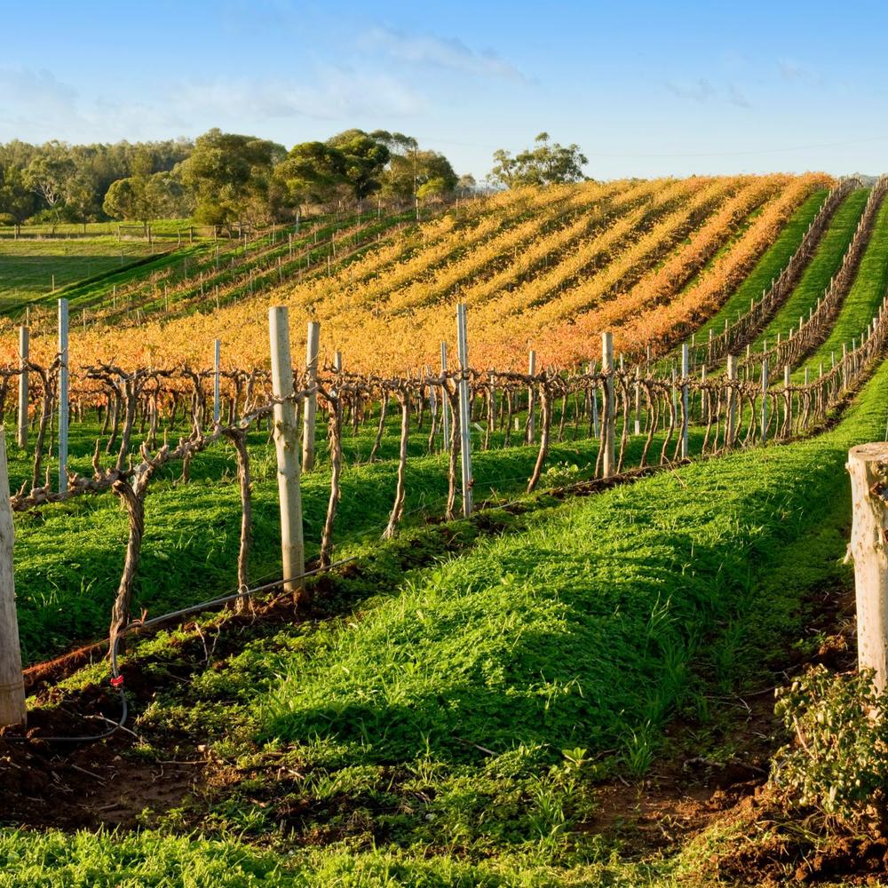 Cullinan Guided Journeys-item-2