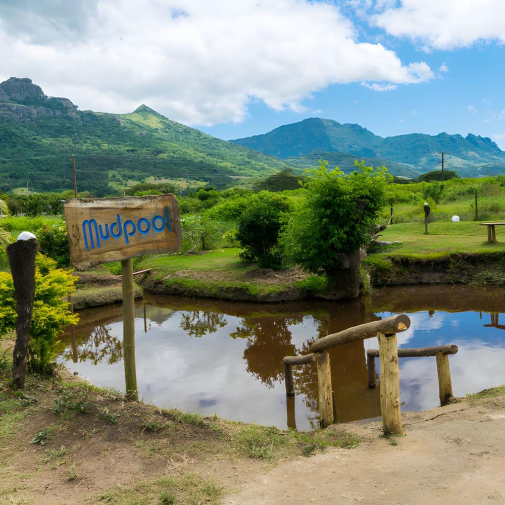 ATS Pacific Fiji-item-0