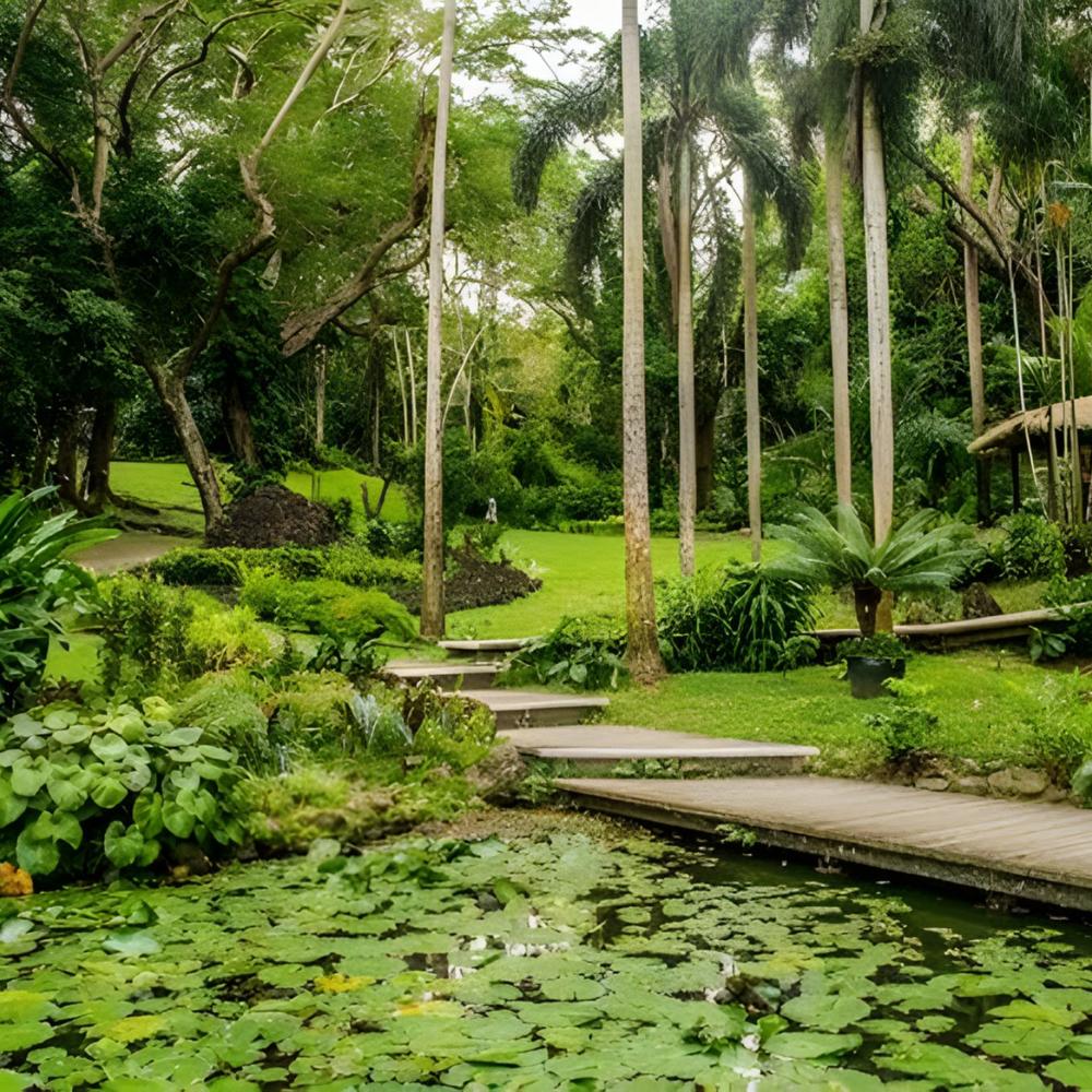 ATS Pacific Fiji-item-1